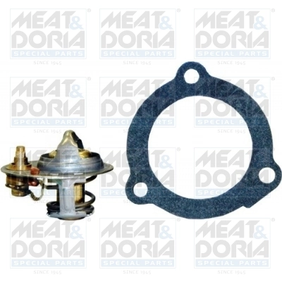 Thermostat, coolant